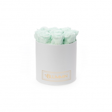 MEDIUM BLUMMiN VALGE KARP MINT KAUASÄILIVATE ROOSIDEGA