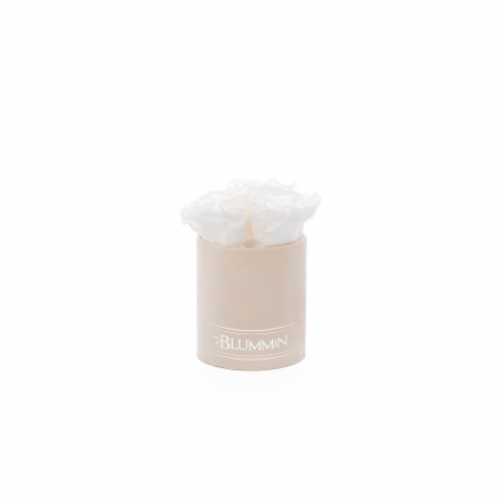 XS BLUMMIN - NUDE VELVET BOX WITH WHITE ROSES