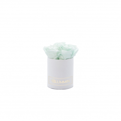 XS BLUMMIN - WHITE BOX WITH MINT ROSES