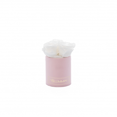 XS BLUMMiN - light pink box with WHITE roses
