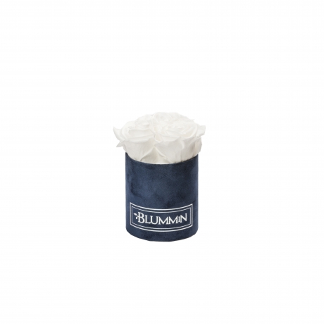 XS BLUMMIN - DARK BLUE VELVET BOX WITH WHITE ROSES