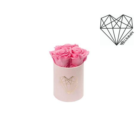 XS LOVE - LIGHT PINK VELVET BOX WITH BABY PINK ROSES