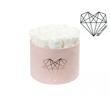 -20% LARGE LOVE- HELEROOSA SAMETKARP WHITE ROOSIDEGA