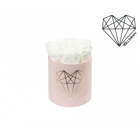 SMALL LOVE - LIGHT PINK VELVET BOX WITH WHITE ROSES