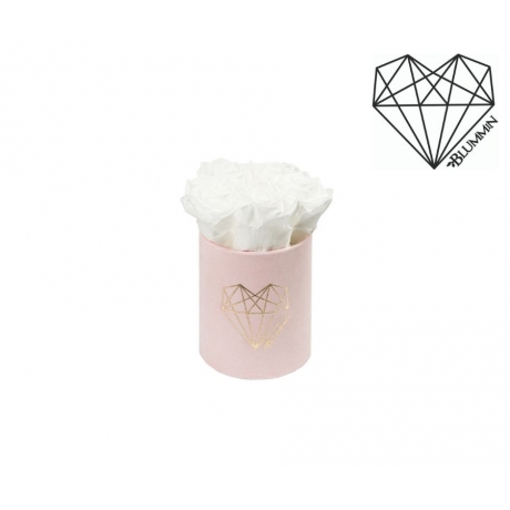 XS LOVE - LIGHT PINK VELVET BOX WITH WHITE ROSES