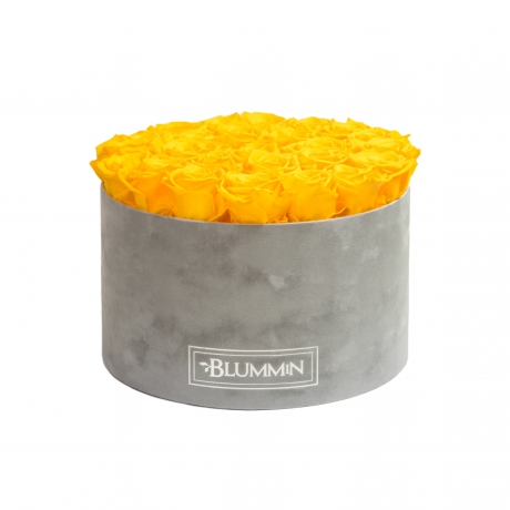 EXTRA LARGE BLUMMIN LIGHT GREY VELVET BOX WITH YELLOW ROSES