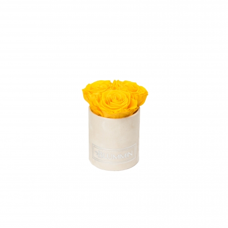 XS BLUMMiN - NUDE VELVET BOX WITH YELLOW ROSES