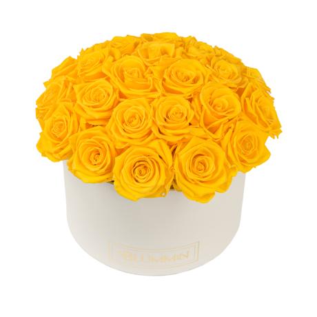  BOUQUET WITH 25 ROSES - LARGE CREAMY BOX WITH YELLOW ROSES