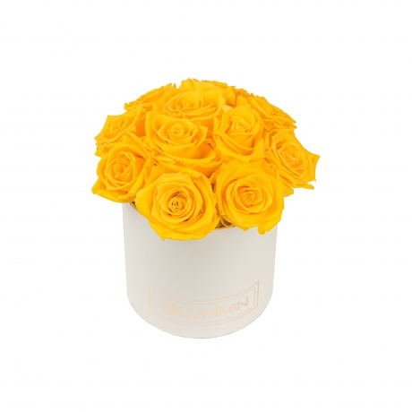  BOUQUET WITH 11 ROSES - SMALL CREAMY BOX WITH YELLOW ROSES