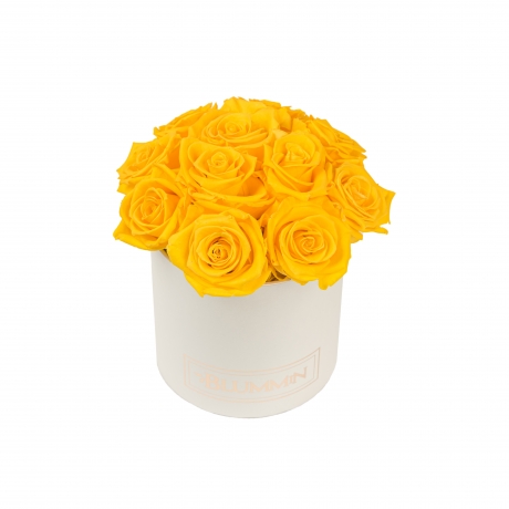 BOUQUET WITH 11 ROSES - SMALL BLUMMiN  CREAMY BOX WITH VIBRANT RED ROSES