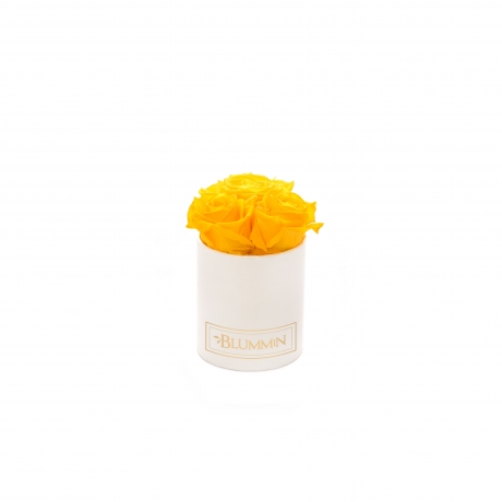 XS BLUMMiN - CREAMY BOX WITH YELLOW ROSES