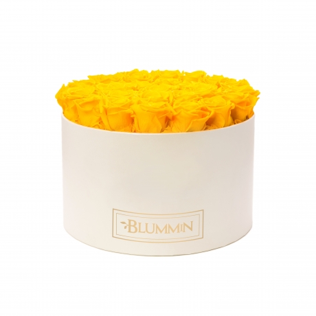 XL BLUMMiN - CREAM BOX WITH YELLOW ROSES