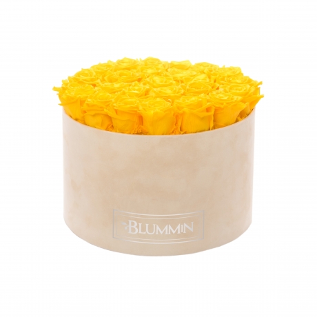 EXTRA LARGE VELVET NUDE BOX WITH YELLOW ROSES