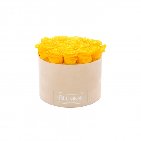  LARGE BLUMMIN NUDE VELVET BOX WITH YELLOW ROSES