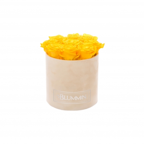 MEDIUM BLUMMIN NUDE VELVET BOX WITH YELLOW ROSES