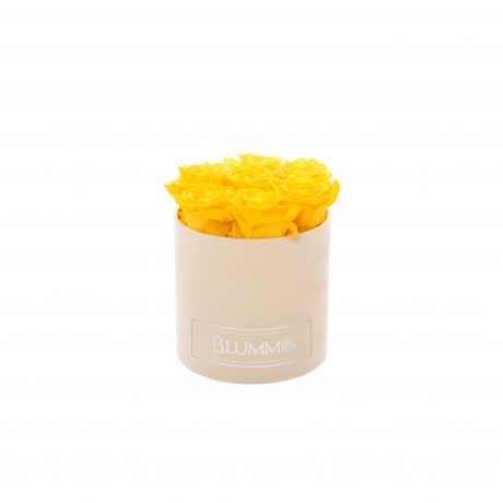 SMALL VELVET NUDE BOX WITH YELLOW ROSES