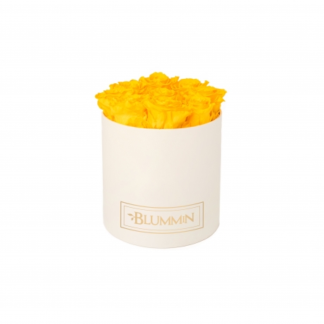 MEDIUM CLASSIC CREAM BOX WITH SUNNY YELLOW ROSES