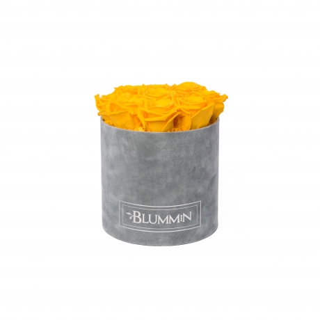  MEDIUM BLUMMIN LIGHT GREY VELVET BOX WITH YELLOW ROSES