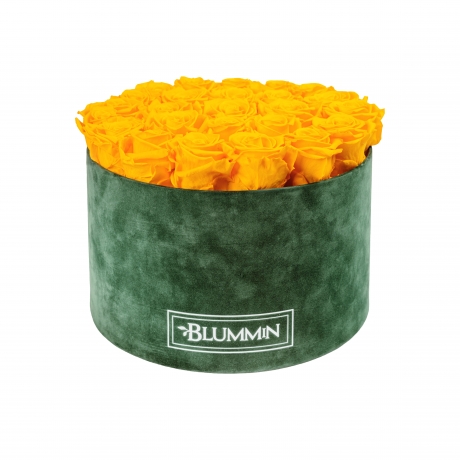 EXTRA LARGE BLUMMIN GREEN VELVET BOX WITH YELLOW ROSES