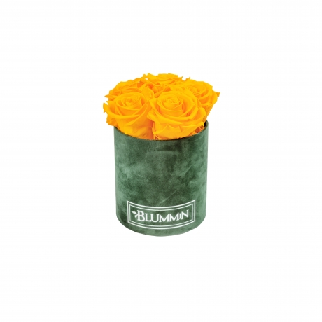 MIDI BLUMMIN GREEN VELVET BOX WITH YELLOW ROSES