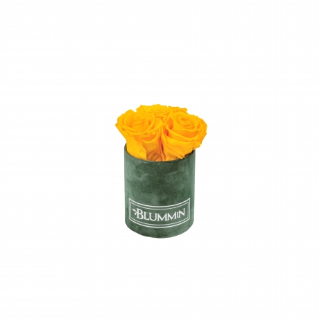 XS BLUMMIN GREEN VELVET BOX WITH YELLOW ROSES