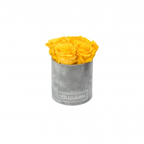 BLUMMIN MIDI LIGHT GREY VELVET BOX WITH  YELLOW ROSES