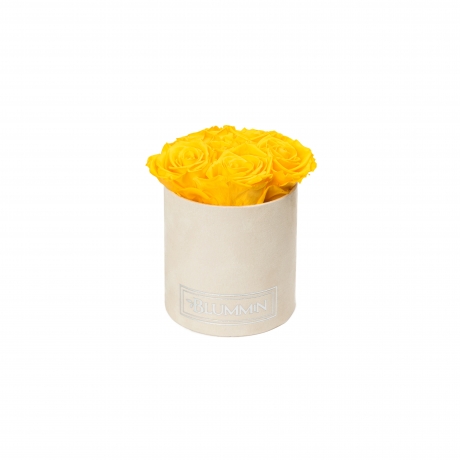 MIDI NUDE VELVET BOX WITH YELLOW ROSES
