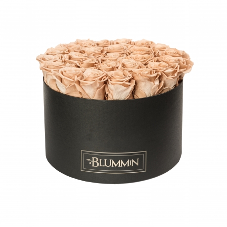 EXTRA LARGE BLACK BOX WITH CAPPUCCINO ROSES