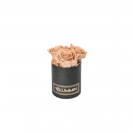 -20% XS BLACK BOX WITH CAPPUCCINO ROSES