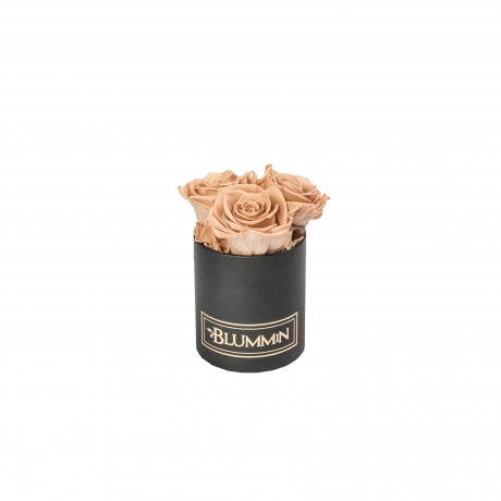 XS BLUMMiN - BLACK BOX WITH CAPPUCCINO ROSES