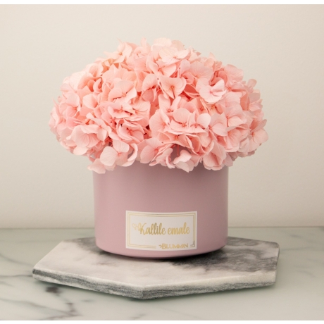 SMALL LIGHT GREY VELVET BOX WITH WHITE HORTENSIA