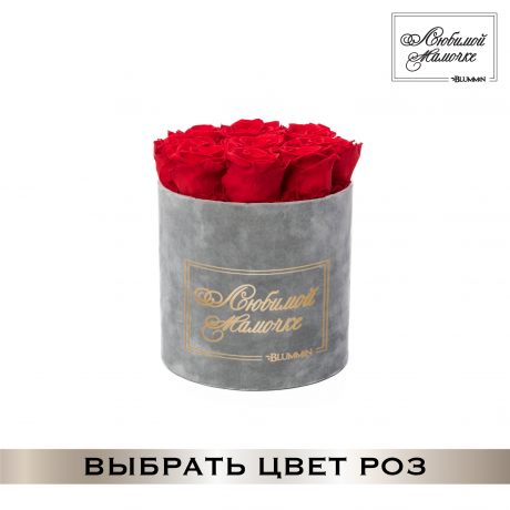 ЛЮБИМОЙ МАМОЧКЕ - MEDIUM LIGHT GREY VELVET BOX