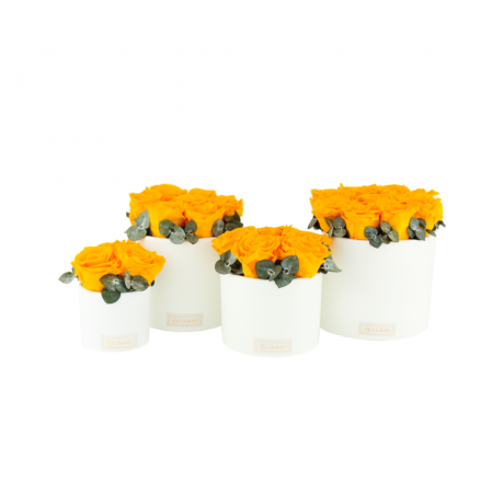 WHITE CERAMIC POT WITH YELLOW  ROSES AND EUCALYPTUS