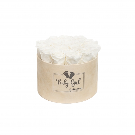 BABY GIRL - NUDE VELVET BOX WITH 17 WHITE ROSES 