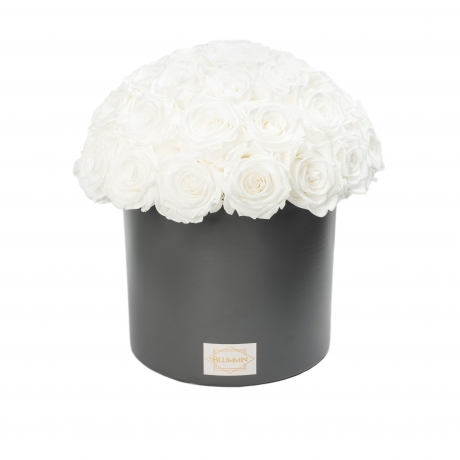 DARK GREY CERAMIC POT WITH 29-31 WHITE ROSES