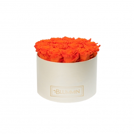 LARGE CREAMY BOX WITH ORANGE ROSES