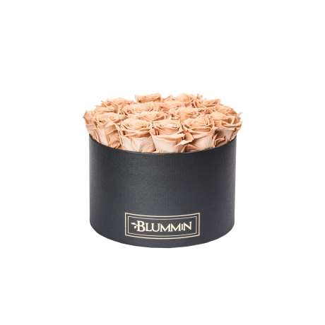 LARGE BLACK BOX WITH CAPPUCCINO ROSES