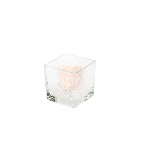 GLASS VASE WITH ICE PINK ROSE AND CRYSTALS (8x8 cm)