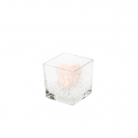 KLAASIST VAAS 8X8 CM ICE PINK ROOSIGA JA KRISTALLIDEGA