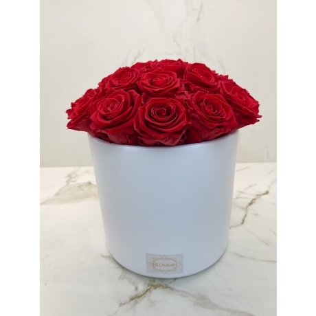 BOUQUET WITH 23 ROSES - WHITE CERAMIC POT WITH VIBRANT RED ROSES