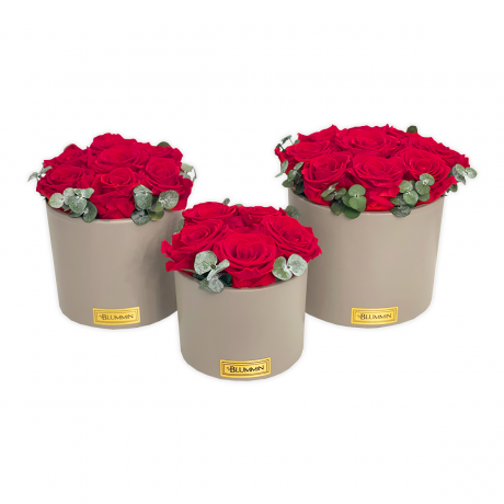 BEIGE CERAMIC POT WITH VIBRANT RED ROSES AND EUCALYPTUS