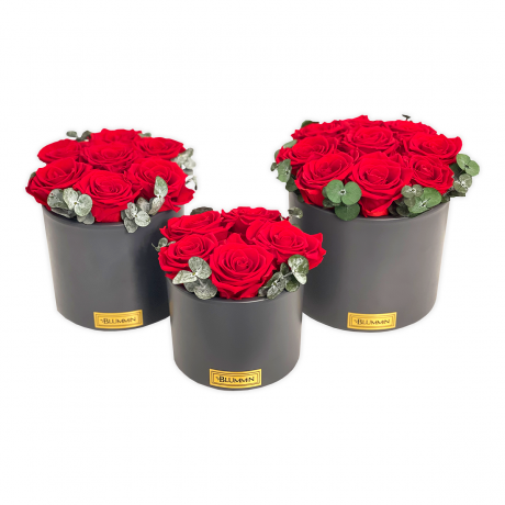 DARK GREY CERAMIC POT WITH VIBRANT RED ROSES AND EUCALYPTUS