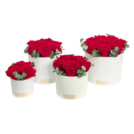 WHITE CERAMIC POT WITH VIBRANT RED ROSES AND EUCALYPTUS