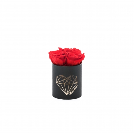 XS LOVE - BLACK BOX WITH VIBRANT RED ROSES