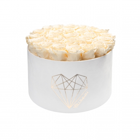 EXTRA LARGE LOVE WHITE VELVET BOX WITH CHAMPAGNE ROSES