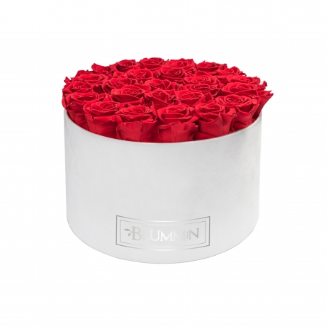 EXTRA LARGE WHITE VELVET BOX WITH VIBRANT RED ROSES