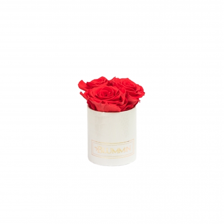 XS BLUMMiN - WHITE LEATHER BOX WITH VIBRANT RED ROSES