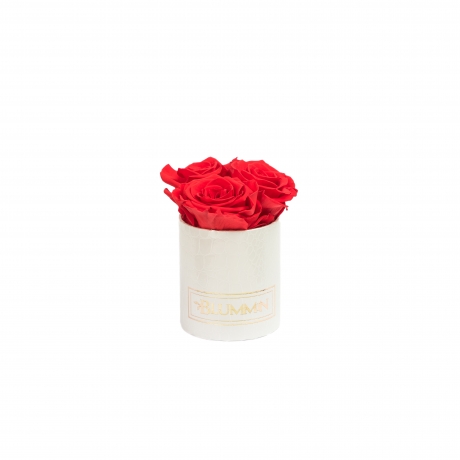 XS BLUMMiN - WHITE LEATHER BOX WITH VIBRANT RED ROSES