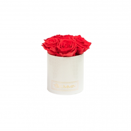 MIDI BLUMMiN - WHITE LEATHER BOX WITH VIBRANT RED ROSES