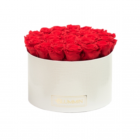XL BLUMMiN - WHITE LEATHER BOX WITH VIBRANT RED ROSES